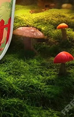 Kids Outdoor Hut - Children's Tents Baby Playground Kids Child